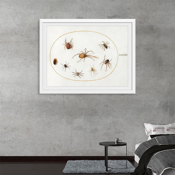 "Seven Spiders and an Insect (1575-1580)", Joris Hoefnagel