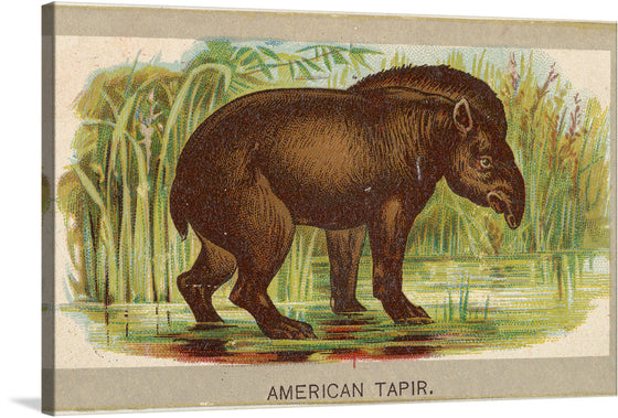 In this exquisite illustration, the majestic tapir stands amidst a lush marshland, its rich brown coat contrasting against the subtle beige background. The artist’s meticulous attention to detail brings out the tapir’s unique features—the white-tipped snout, the gentle curve of its body, and the intelligent eyes that seem to hold ancient secrets.