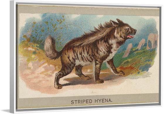 "Striped Hyena, From the Animals of the World Series", Abdul Cigarettes