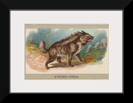 "Striped Hyena, From the Animals of the World Series", Abdul Cigarettes