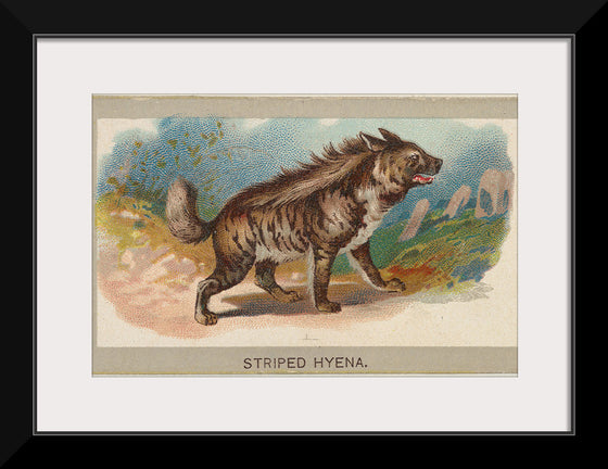 "Striped Hyena, From the Animals of the World Series", Abdul Cigarettes