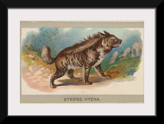 "Striped Hyena, From the Animals of the World Series", Abdul Cigarettes