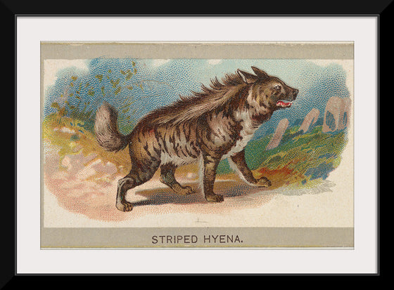 "Striped Hyena, From the Animals of the World Series", Abdul Cigarettes