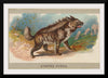 "Striped Hyena, From the Animals of the World Series", Abdul Cigarettes