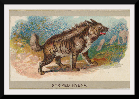 "Striped Hyena, From the Animals of the World Series", Abdul Cigarettes