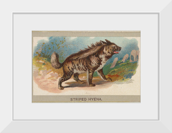 "Striped Hyena, From the Animals of the World Series", Abdul Cigarettes