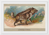 "Striped Hyena, From the Animals of the World Series", Abdul Cigarettes