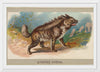 "Striped Hyena, From the Animals of the World Series", Abdul Cigarettes