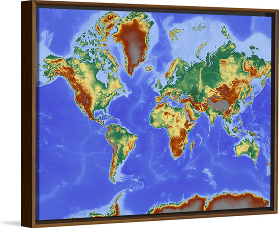 "Relief World Map"