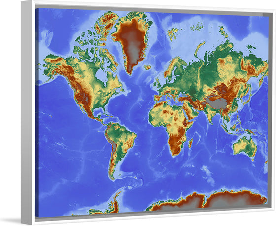 "Relief World Map"