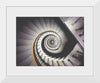 "Impressive View Down a Stairwell With Spiral Marble Stairs"