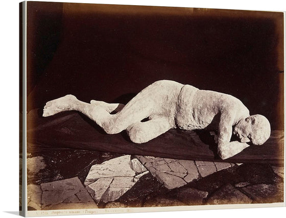  This exquisite print brings to life the echoes of Pompeii’s past, showcasing a human cast that tells a story of life interrupted. The intricate details and emotional resonance of the figure, lying prone on the ground with one arm extended forward, make this artwork not just a piece but a conversation starter.