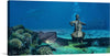 Dive into the serene depths of the ocean with this mesmerizing artwork, now available as a premium print. Witness an enigmatic underwater scene where a stone statue plays the cello amidst a tranquil sea floor, surrounded by vibrant coral reefs and an ancient, algae-covered piano. A pair of graceful sharks glide through the crystal-clear waters, adding a touch of wild elegance to this mystical marine tableau. 