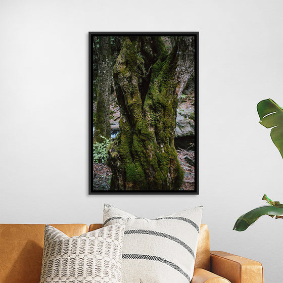 "Green Moss on Tree Trunk", Snejina Nlkolova