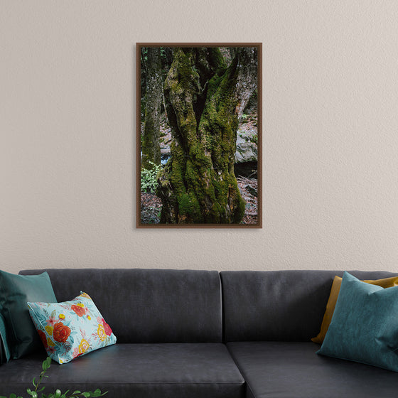 "Green Moss on Tree Trunk", Snejina Nlkolova