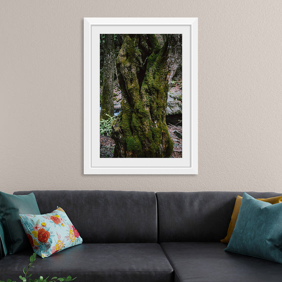 "Green Moss on Tree Trunk", Snejina Nlkolova