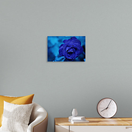 "Blue Rose"