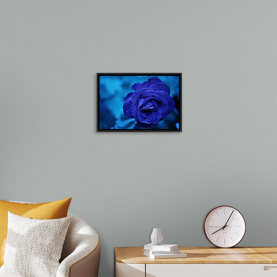 "Blue Rose"