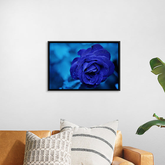 "Blue Rose"