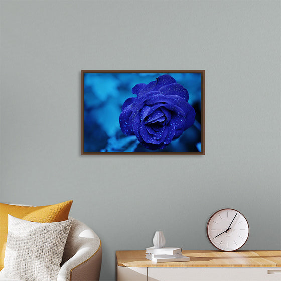 "Blue Rose"