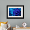 "Blue Rose"