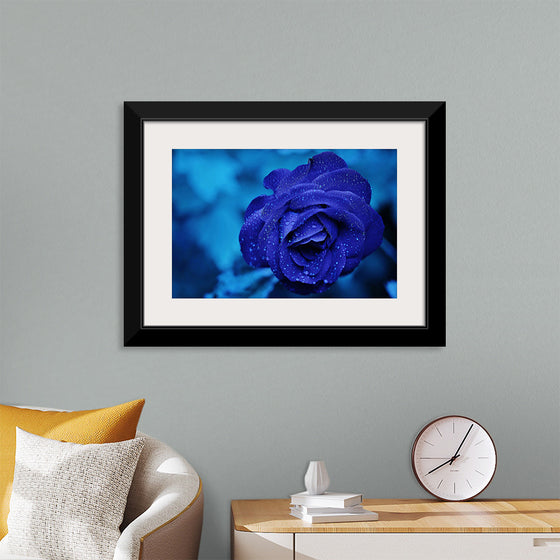 "Blue Rose"