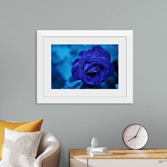 "Blue Rose"