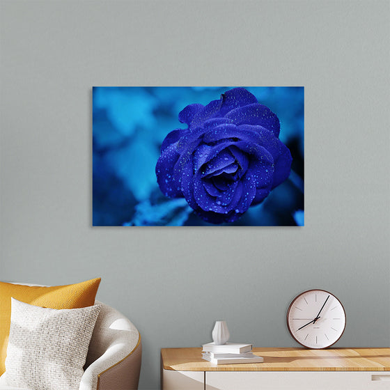 "Blue Rose"