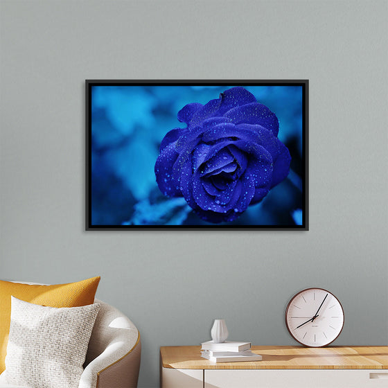 "Blue Rose"