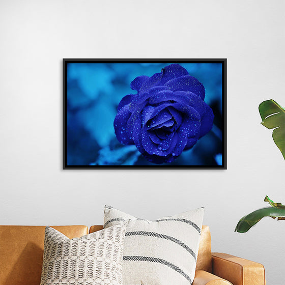 "Blue Rose"