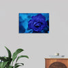 "Blue Rose"