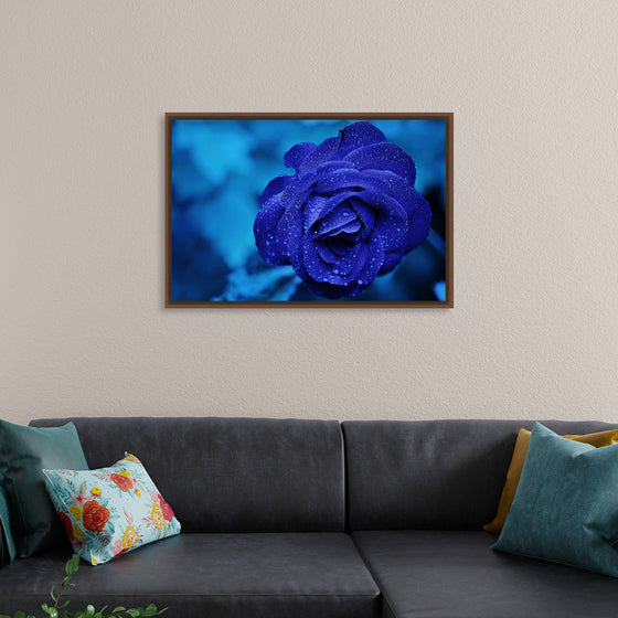 "Blue Rose"