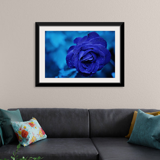 "Blue Rose"