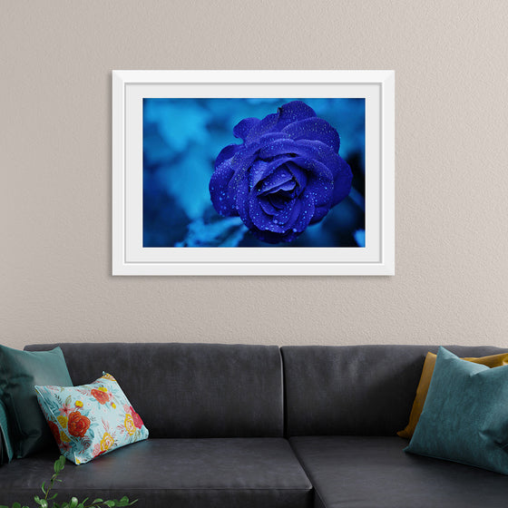 "Blue Rose"