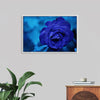 "Blue Rose"