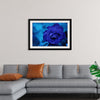 "Blue Rose"