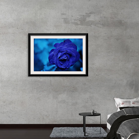 "Blue Rose"