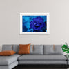 "Blue Rose"