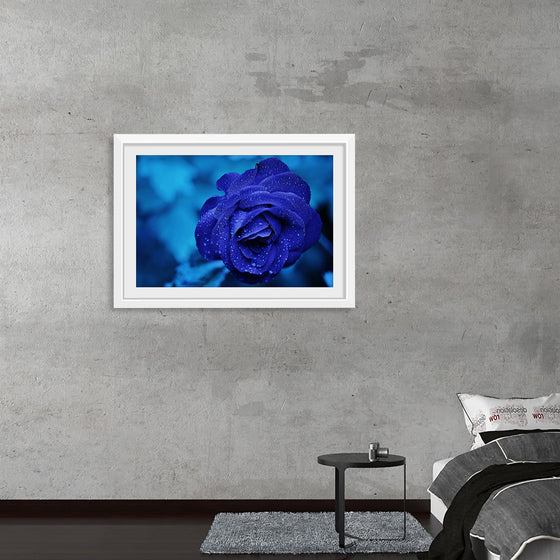 "Blue Rose"