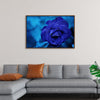 "Blue Rose"