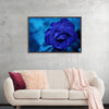 "Blue Rose"