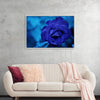 "Blue Rose"