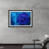 "Blue Rose"