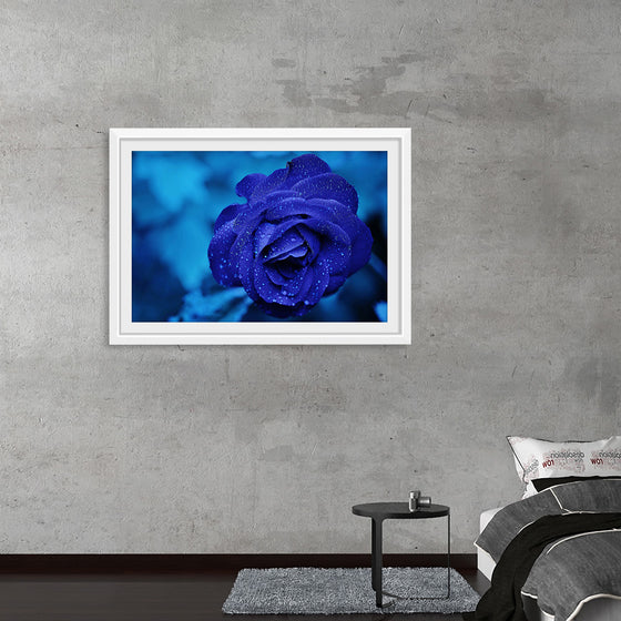 "Blue Rose"