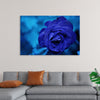 "Blue Rose"