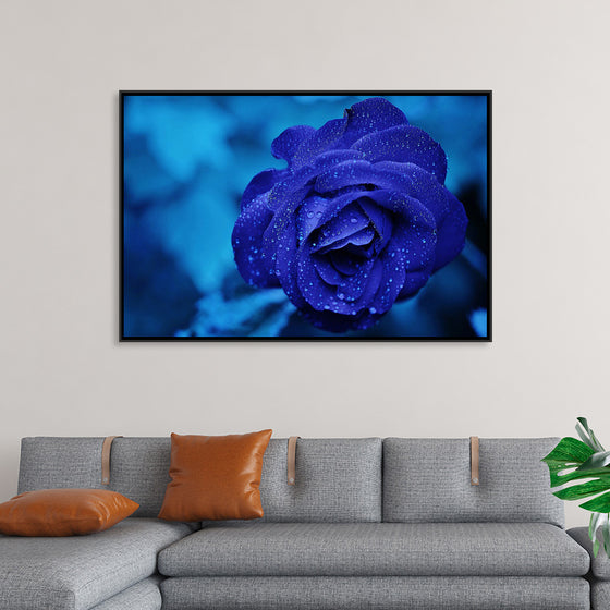 "Blue Rose"