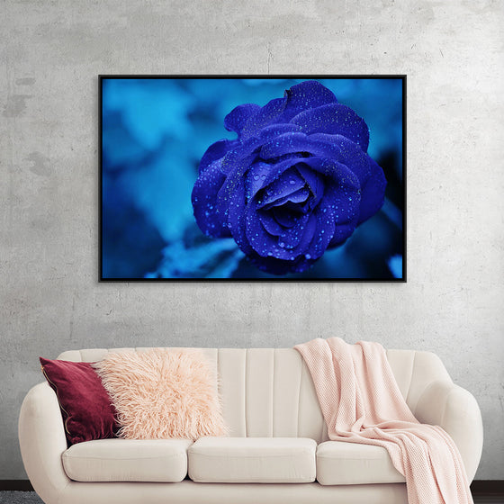 "Blue Rose"