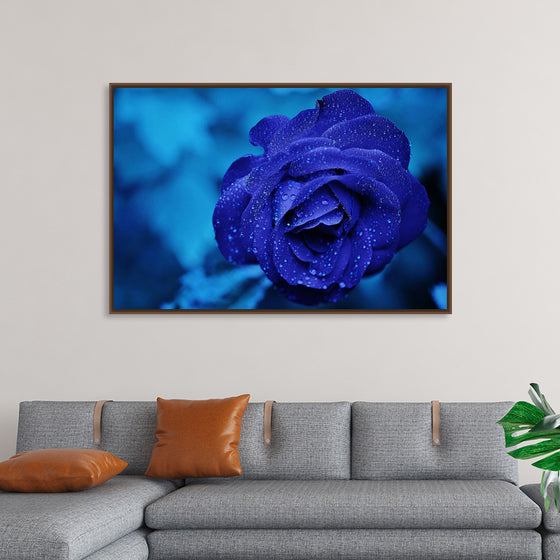 "Blue Rose"