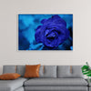 "Blue Rose"