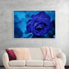 "Blue Rose"